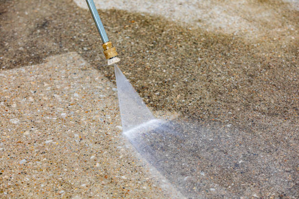 Best Roof Washing  in Golden Gate, FL