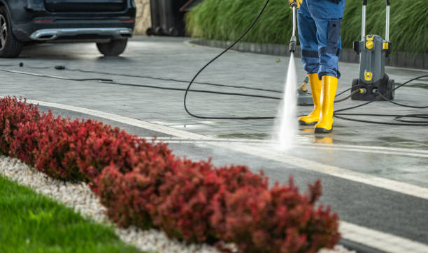 Professional Pressure Washing in Golden Gate, FL